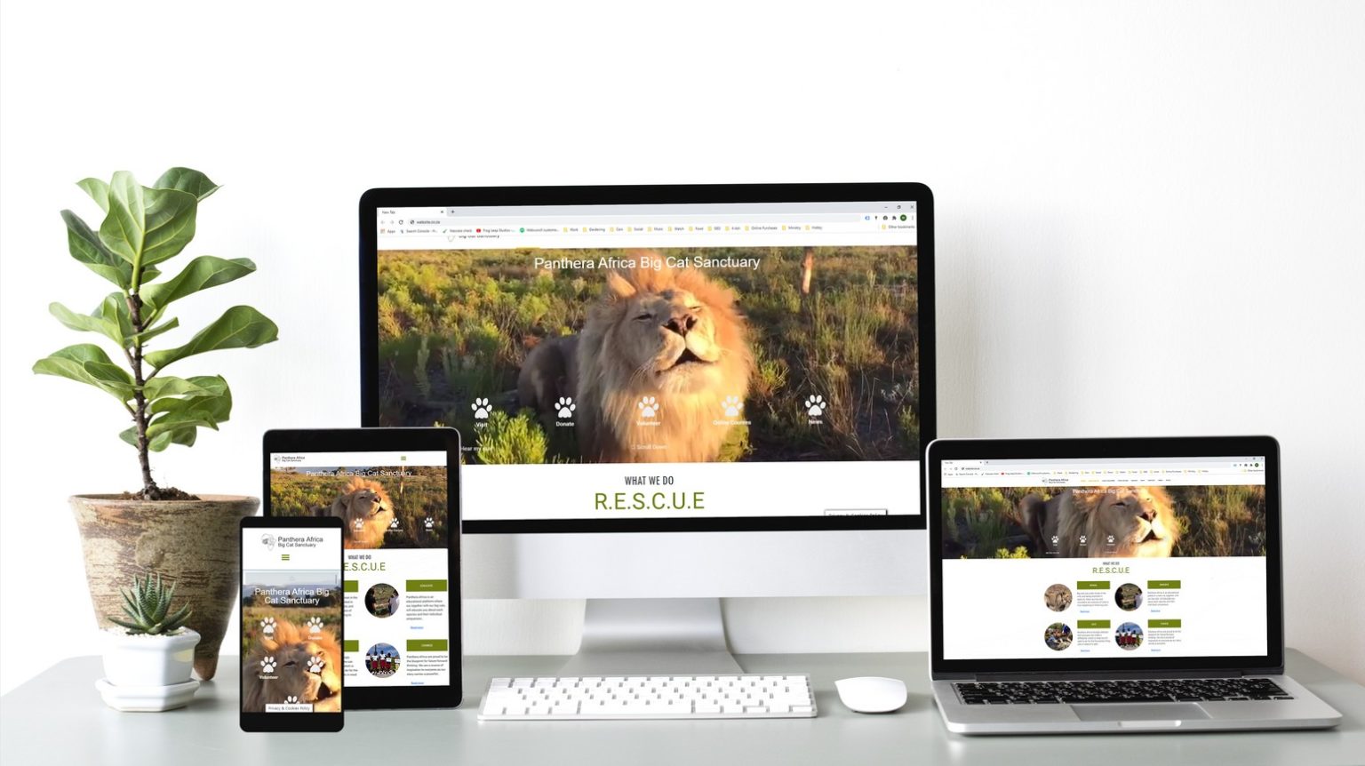 Website designs Panthera Africa